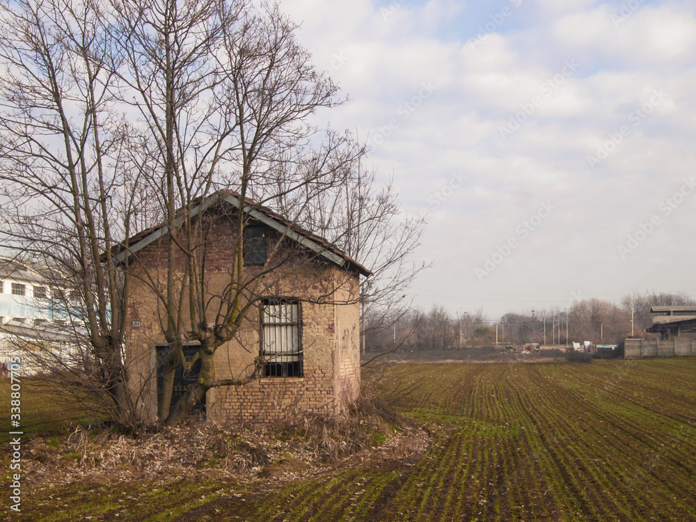 peasant house partially hidden by a tree in a cultivated field on the edge of a city peasant house partially hidden by a tree in a cultivated field on the edge of a city