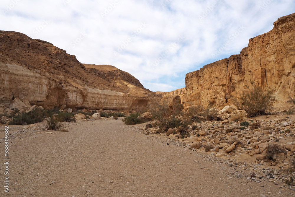 The wide canyon with high yellow sandstone walls, its sand bottom and small bushes. There is the blue sky with white clouds. 