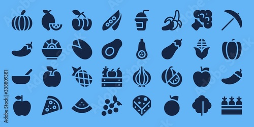 vegetarian icon set