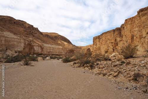 The wide canyon with high yellow sandstone walls, its sand bottom and small bushes. There is the blue sky with white clouds. 