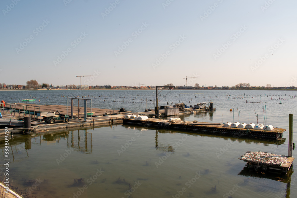 Oyster aquaculture 'de oesterput' in the old scouring basin 'de Spuikom' in Ostend, Belgium Oyster aquaculture 'de oesterput' in the old scouring basin 'de Spuikom' in Ostend, Belgium