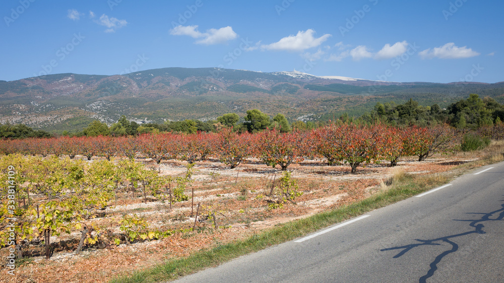 at the foot of mont ventoux