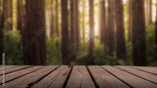 a wooden plank with forest tree blur nature background.