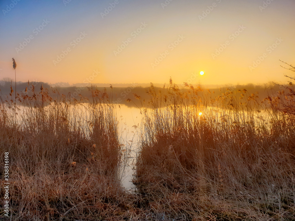 Lake Sunrise Reeds