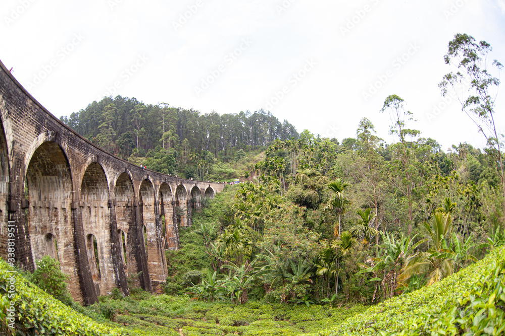 Tea plantations under the nine-arch bridge in Sri Lanka (Ceylon).