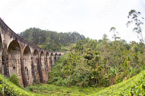 Tea plantations under the nine-arch bridge in Sri Lanka  Ceylon .