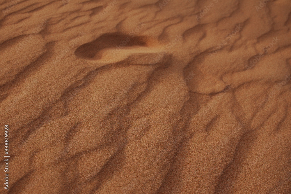 Fototapeta premium sands in a desert