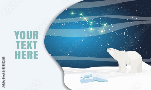 Landing page template with multi-level shadows and the image of a polar bear that looks at the sky. Dark northern sky with the constellation Ursa Major. Vector illustration