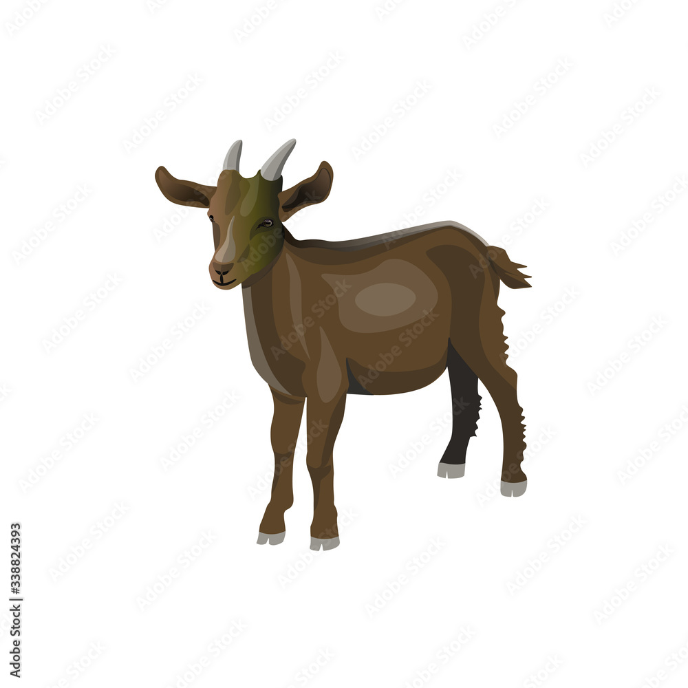 Little brown goat kid. Vector illustration in realistic style Little brown goat kid. Vector illustration in realistic style