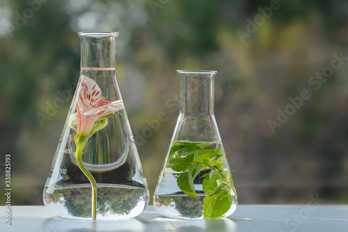 In laboratory ,natural orgaric extraction and flower herb aroma assence in flasks.beauty scientist ,research and develop project medicine for health and beauty care.