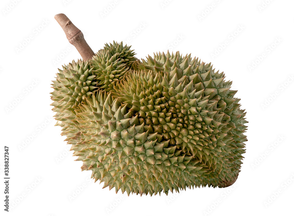 Durian fruit at Thailand isolated on white background with clipping path. Durian fruit at Thailand isolated on white background with clipping path.