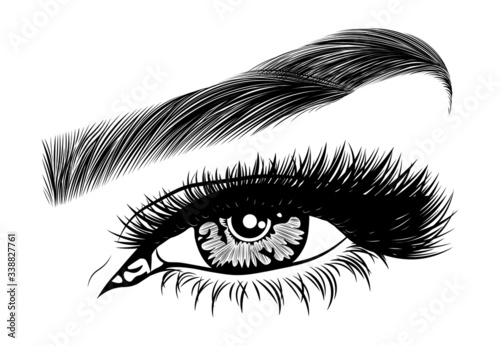 Illustration with woman's eye, eyelashes and eyebrow. Makeup Look. Tattoo design. Logo for brow bar or lash salon.