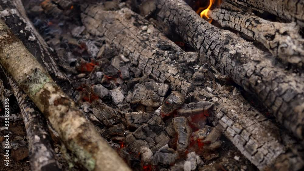 a fire is burning in the forest.Fire and red-hot coals of yellow and red color.a man corrects the fire with a stick.hot near.the tree is behind the fire, spring or autumn, preparing for a barbecue a fire is burning in the forest.Fire and red-hot coals of yellow and red color.a man corrects the fire with a stick.hot near.the tree is behind the fire, spring or autumn, preparing for a barbecue