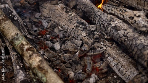 a fire is burning in the forest.Fire and red-hot coals of yellow and red color.a man corrects the fire with a stick.hot near.the tree is behind the fire, spring or autumn, preparing for a barbecue
