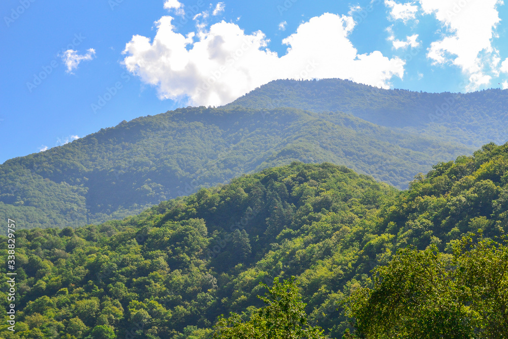 Landscape Of Abkhazia. Mountains and forests
