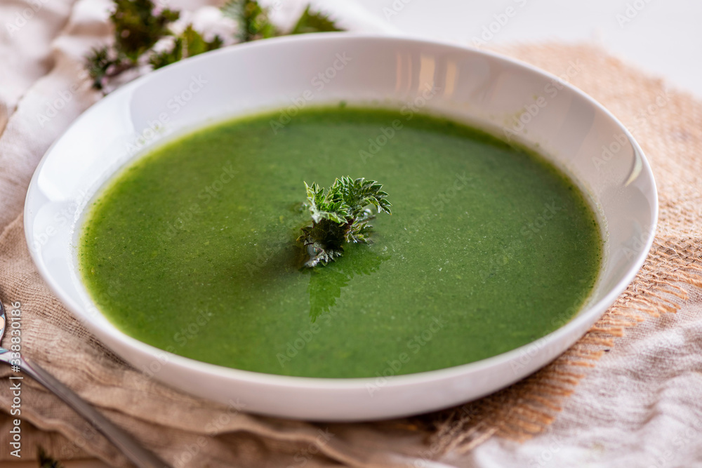 Stinging nettles (Urtica dioica) growing in a field used for cooking tea soup sauce, edible medical herb garden weed Stinging nettles (Urtica dioica) growing in a field used for cooking tea soup sauce, edible medical herb garden weed
