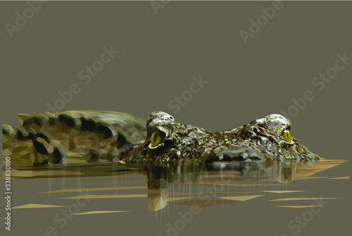 Low poly illustration of a crocodile lurking in a river with its reflection on a brown background