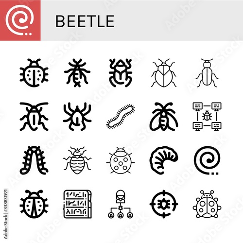beetle icon set