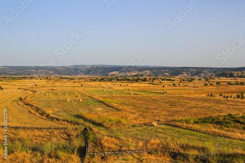 Rural landscape with grass land during summer on the island of Sardinia, Italy