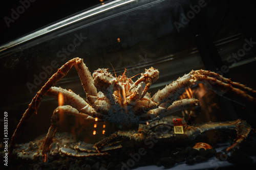 view of large crab in restaurant aquarium