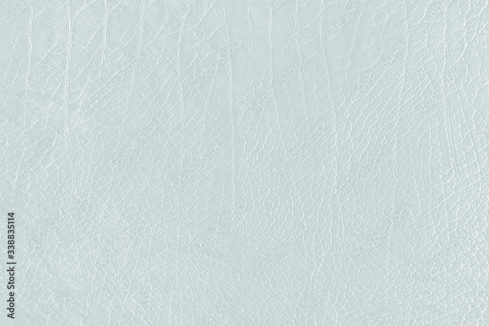 Obraz premium Gray leather grain texture