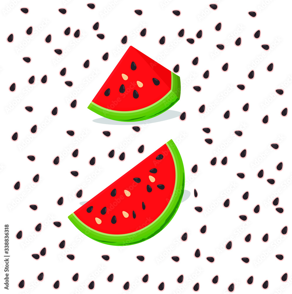 watermelon vector illustration watermelon vector illustration