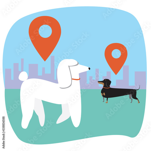 Dog location as a concept of a wireless GPS collar to control pet walking, flat vector stock illustration with tracking dachshund and poodle by the owner for safety
