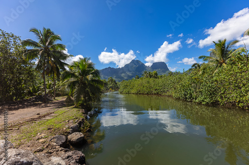 Rivière de Opunohu à Moorea en Polynesie Francaise