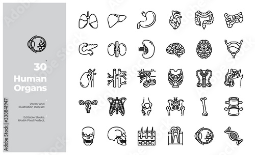 Vector Line Icons Set of Human Organs Icon. Editable Stroke. Design for Website, Mobile App and Printable Material. Easy to Edit & Customize.