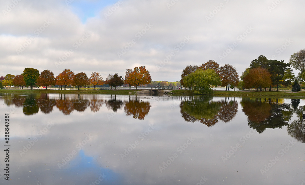 reflection of trees in the lake