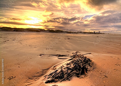 Redcar Beach. Yorkshire, UK photo