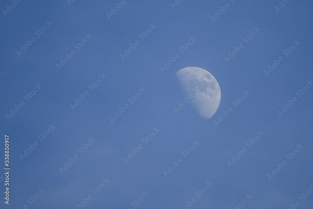 The newly-raised moon is in the clear blue sky