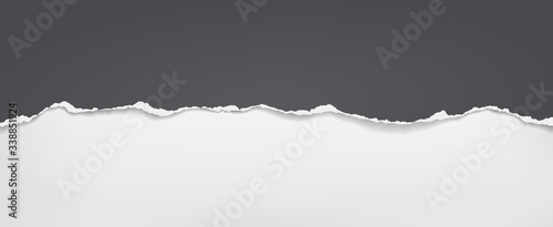 Piece of torn black horizontal paper with soft shadow stuck on white background. Vector illustration