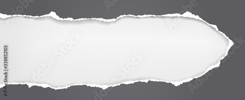 Piece of torn black horizontal paper with soft shadow stuck on white background. Vector illustration