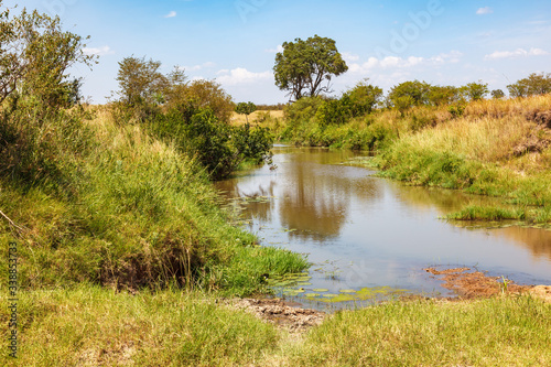 Water hole in african savanna