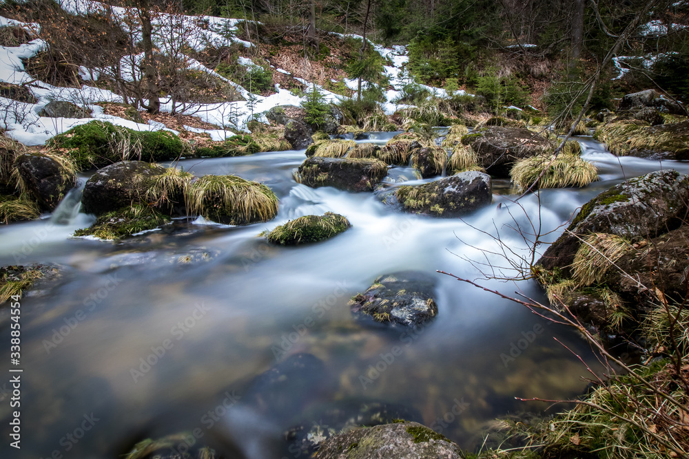 Obraz premium Deer creek in the spring landscape of Jizera Mountains
