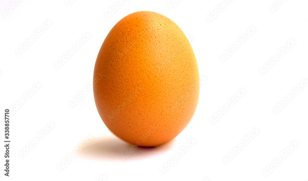 egg on white background egg on white background