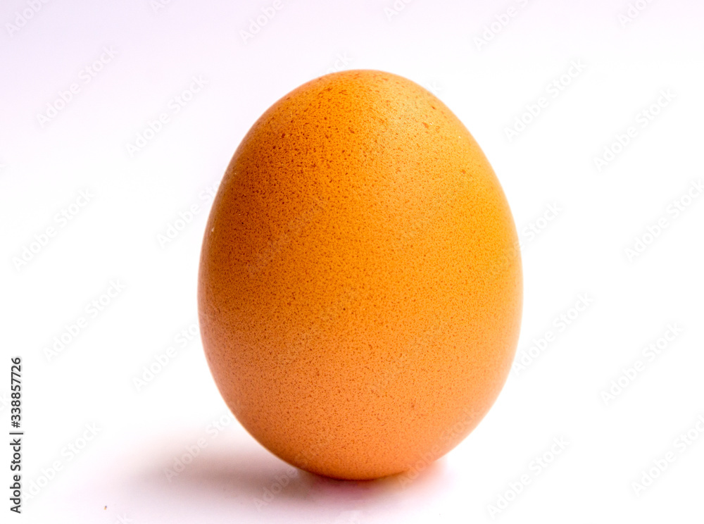 easter egg isolated on white easter egg isolated on white