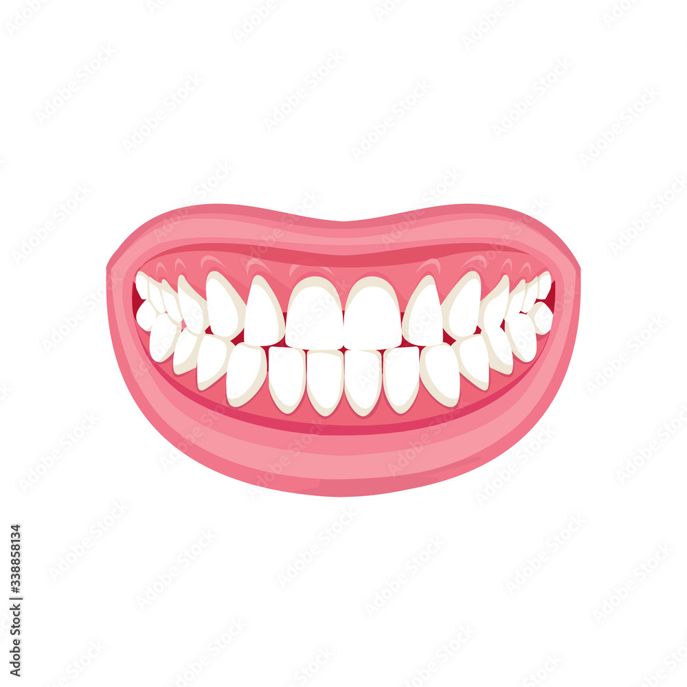 Fototapeta premium beautiful snow-white smile. white background