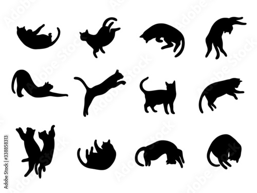 Vector set cat silhouette, different poses, black color, isolated on white background