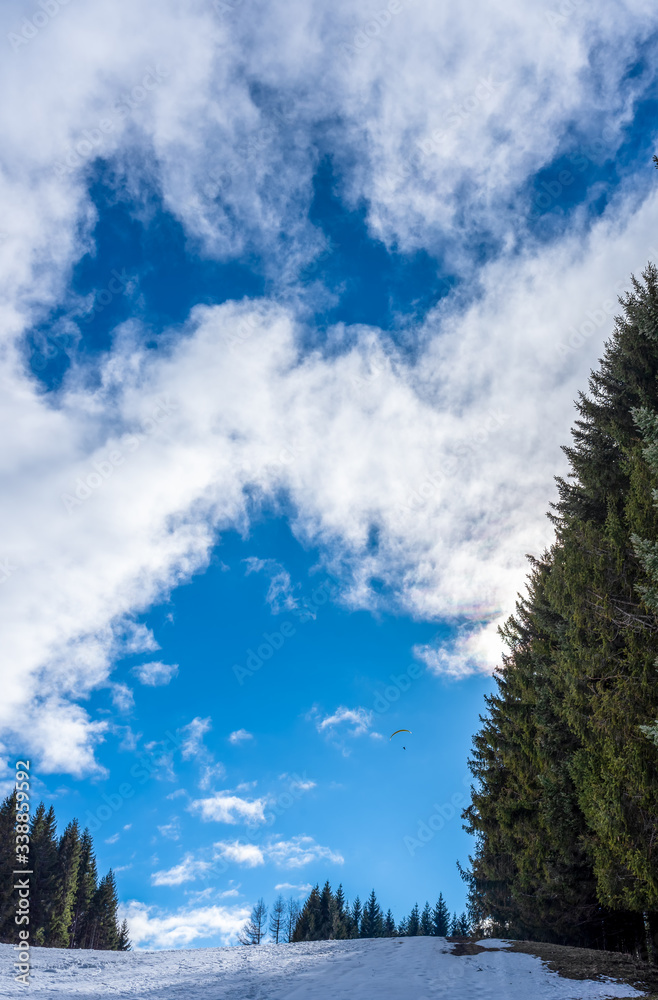 White clouds, blue sky, forest trees and snow. Breathing fresh air. White clouds, blue sky, forest trees and snow. Breathing fresh air.