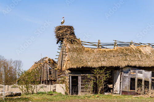 Rzeka Narew. Dolina Górnej Narwi. Wiosna na Podlasiu, Polska