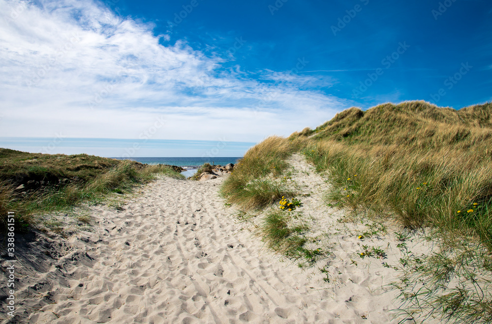 A footpath along dunes to Refsnesstranda beach in a nice sunny day near Naerbo, Norway, May 2018 A footpath along dunes to Refsnesstranda beach in a nice sunny day near Naerbo, Norway, May 2018