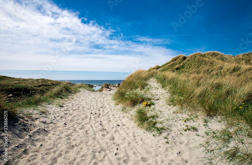 A footpath along dunes to Refsnesstranda beach in a nice sunny day near Naerbo  Norway  May 2018