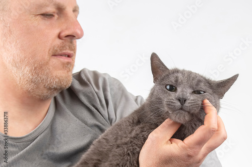 gray cat sitting on the chest of men