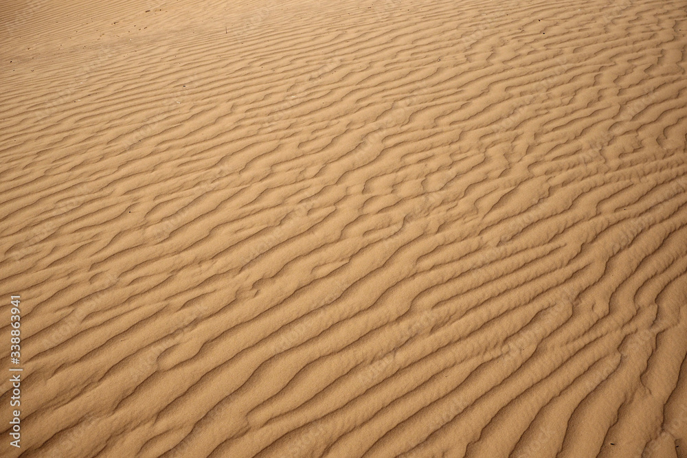 The surface of the orange sandy dunes with parallel lines made by wind. The surface of the orange sandy dunes with parallel lines made by wind.