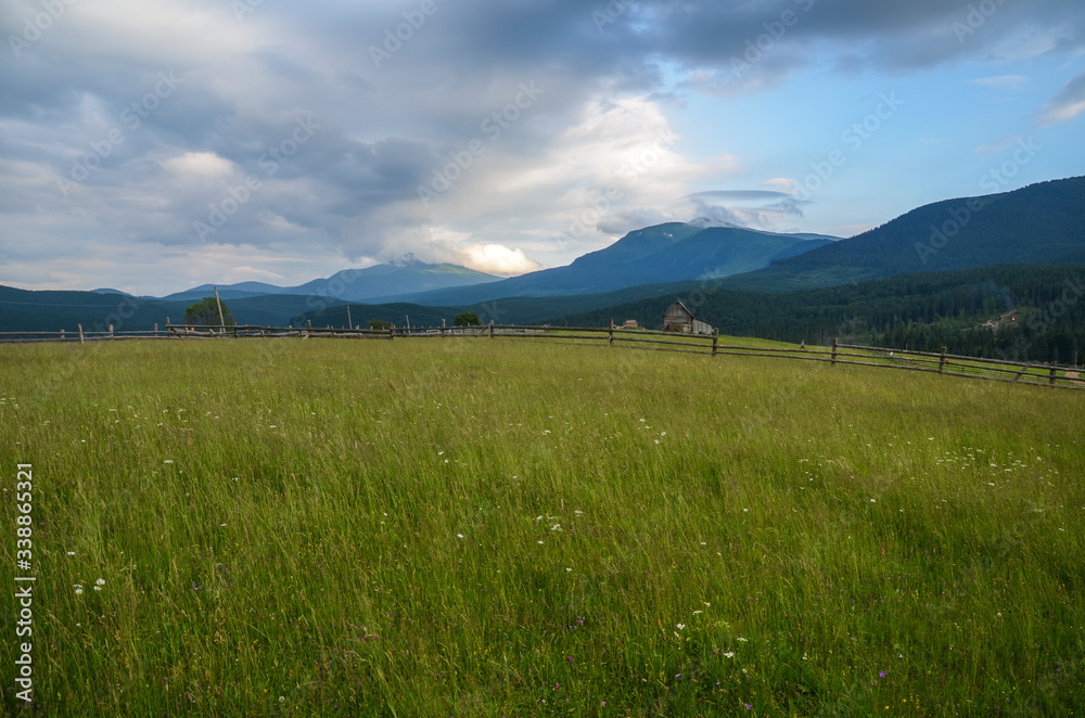Rural landscape with grazing horse and beautiful View of the mountains of Hoverla and Petros, on background. It is the highest mountain of the Ukrainian Carpathian Mountains, Chornohora ridge.