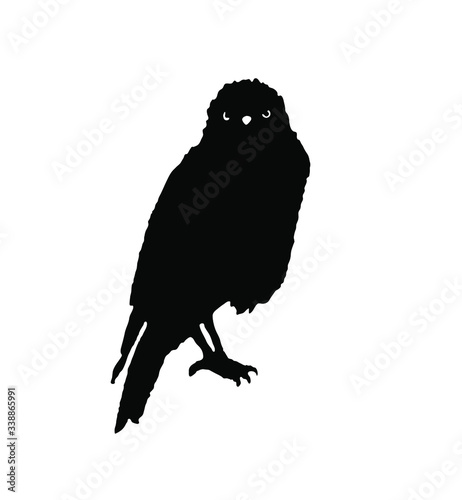 Black raven illustrated by ink on a white background. Vector. Image of a bird, crow, jackdaw, magpie. Occultism, mysticism, shamanism, symbol, magic. Chinese style, oriental.