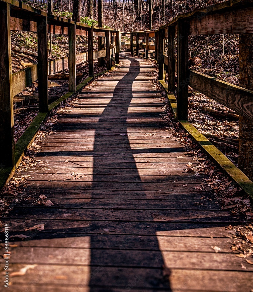 Obraz premium wooden bridge in autumn