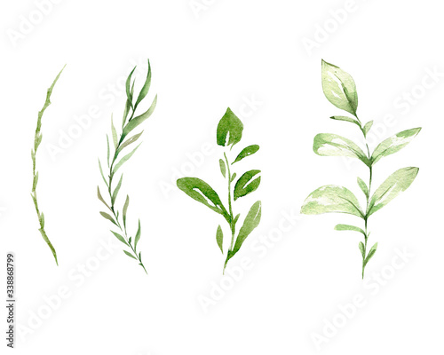 Hand drawing watercolor set of wild forest branches and leaves. illustration isolated on white